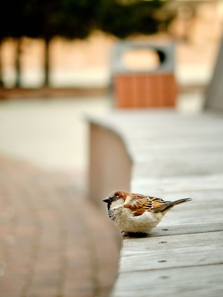 Photograph by Евгений Ласьков