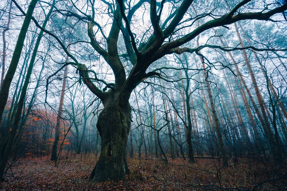 Photograph by Dmitry Zhukovskiy