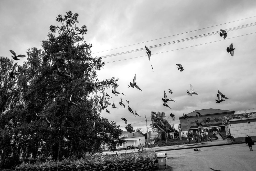 Photograph by Евгений Ласьков