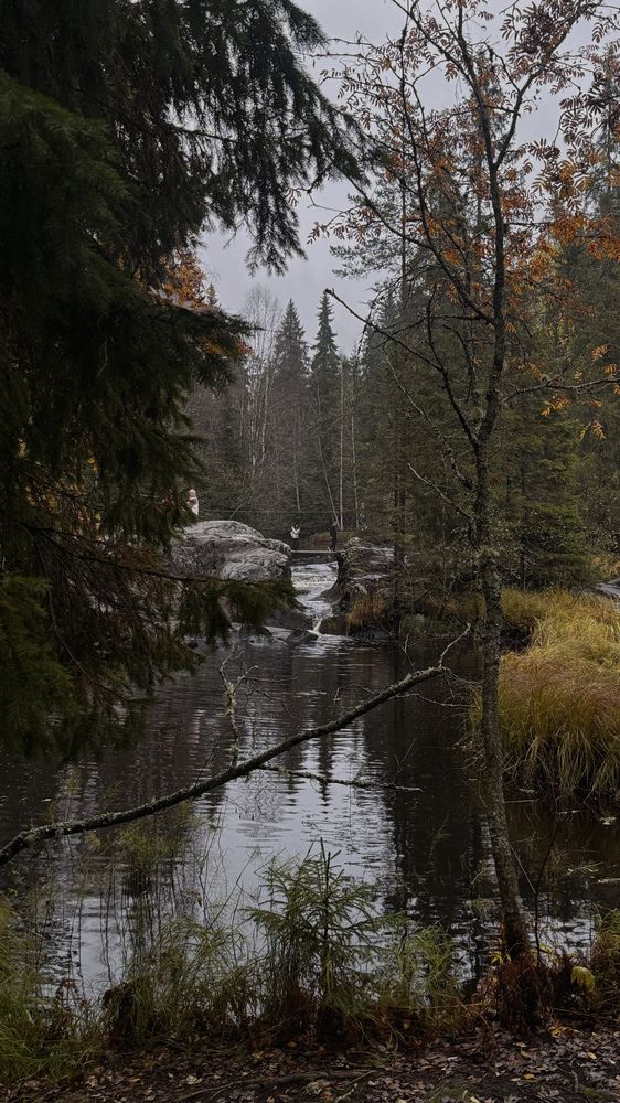 Photograph by Ирина Антипова