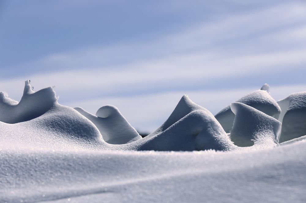 Фотография автора Виталий Владимирович