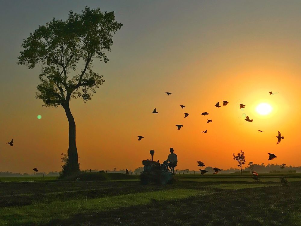 Photograph by MD SALLIM MONDAL RAJON