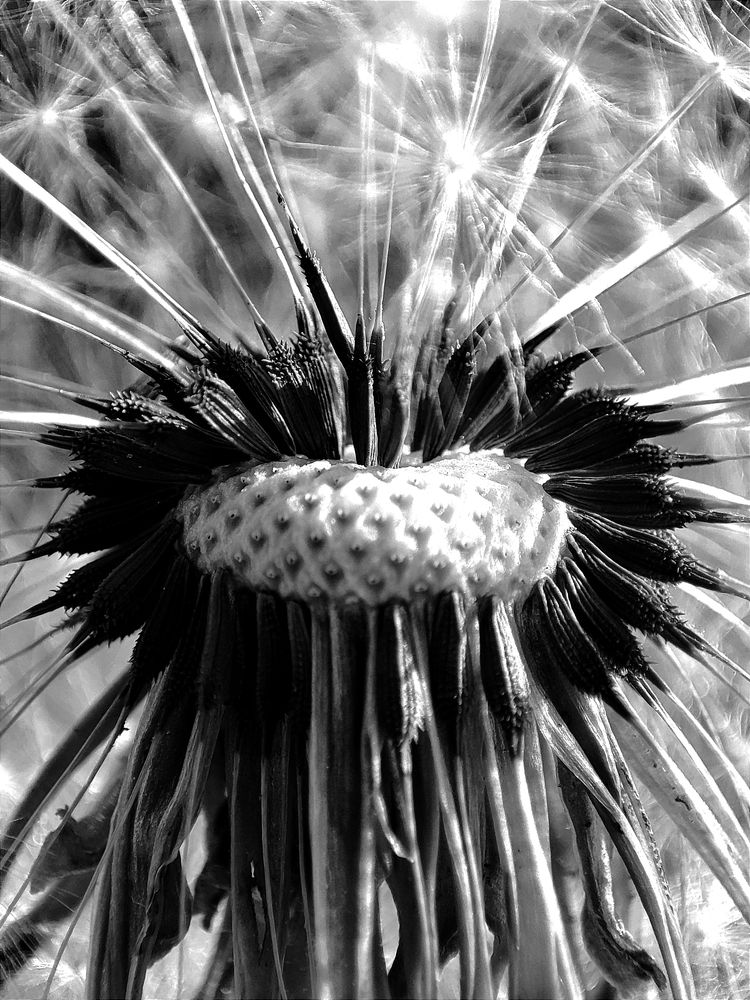 Photograph by Наталья Смирнова