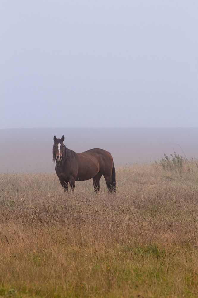Фотография автора Alyona Madsen