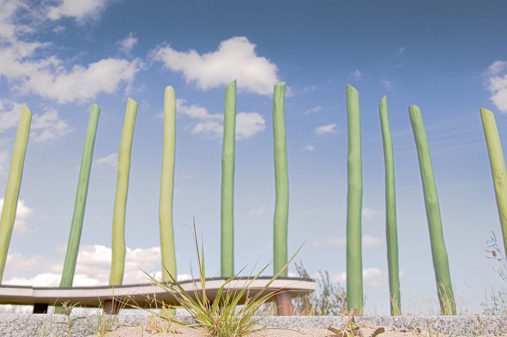 Фотография автора Alyona Madsen