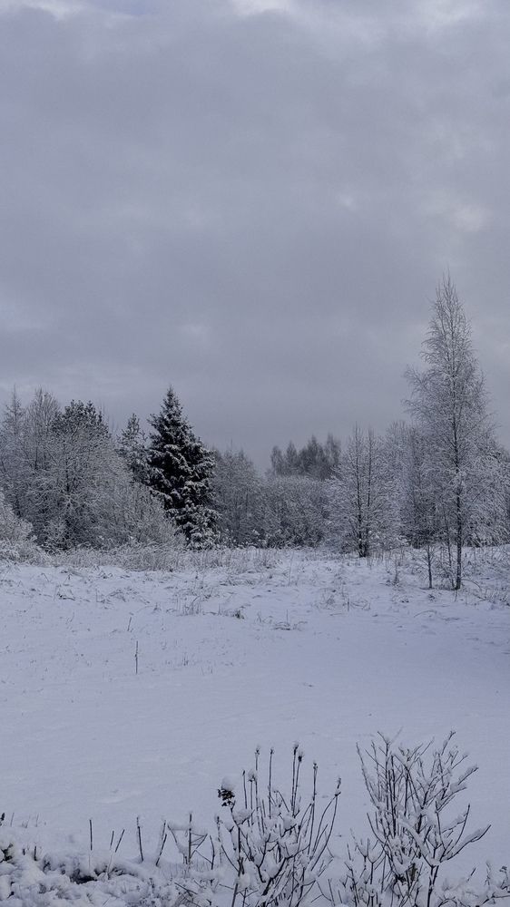 Photograph by Ирина Антипова