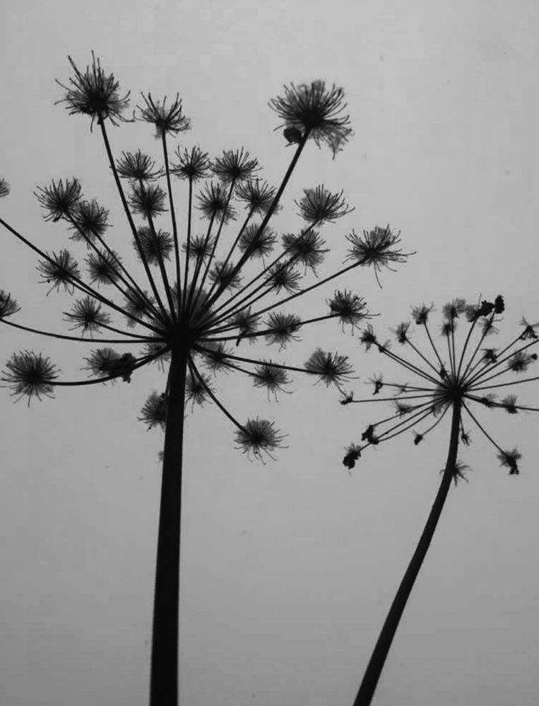 Photograph by Наталья Смирнова