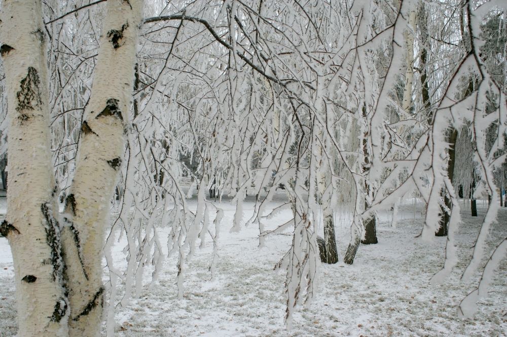 Photograph by Евгений Медведев