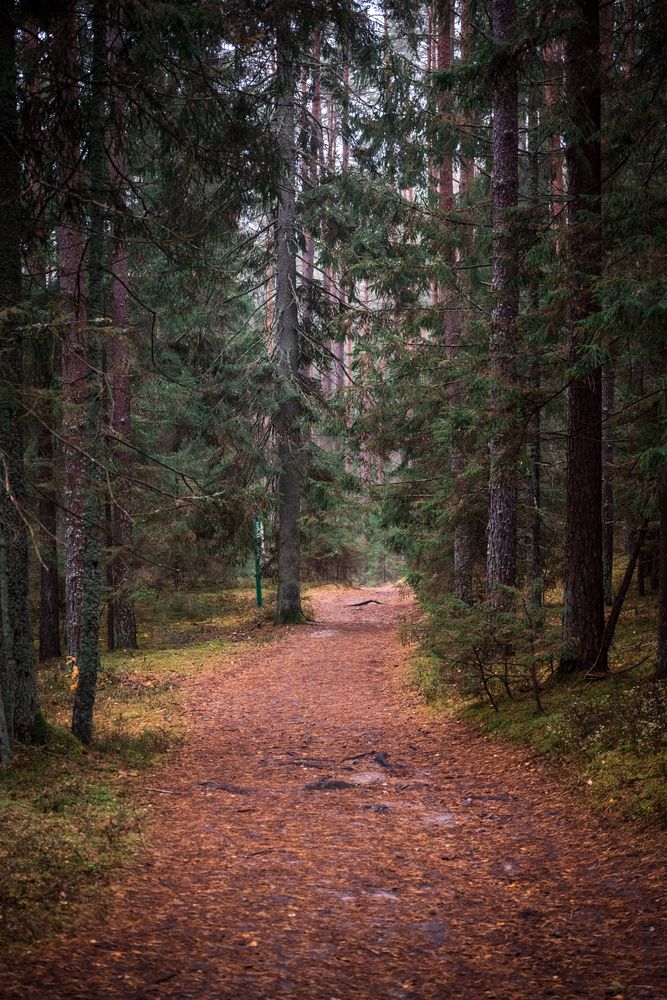 Photograph by Кончакова Дарья