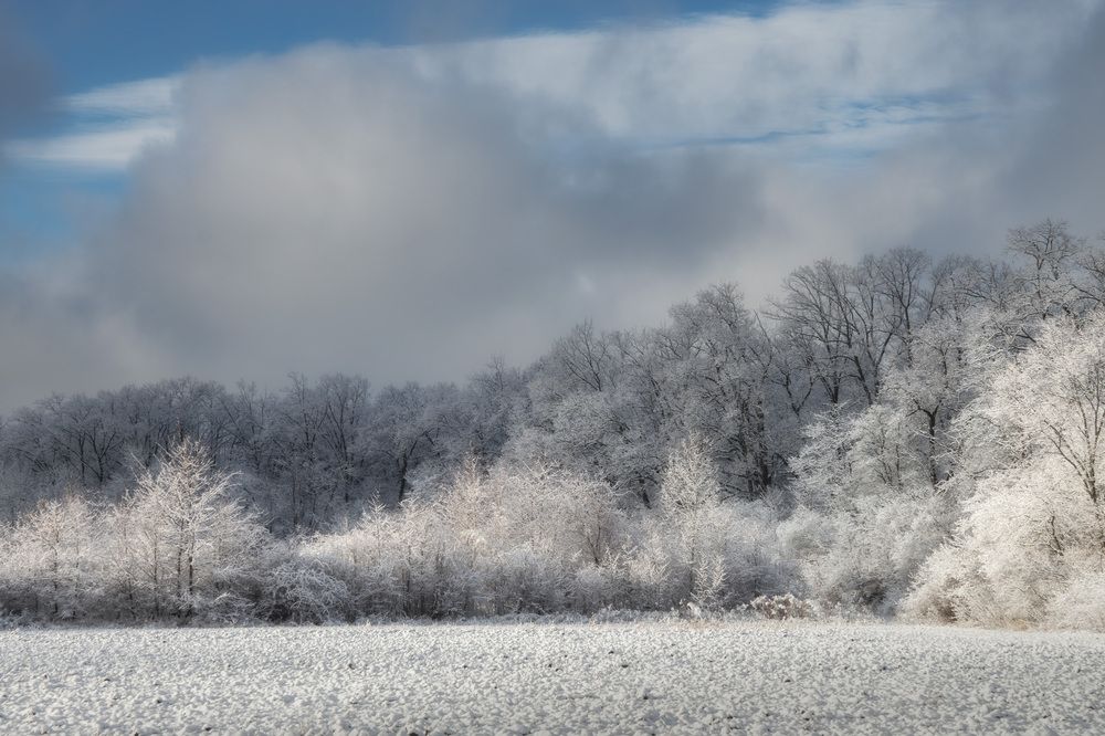 Кружево января