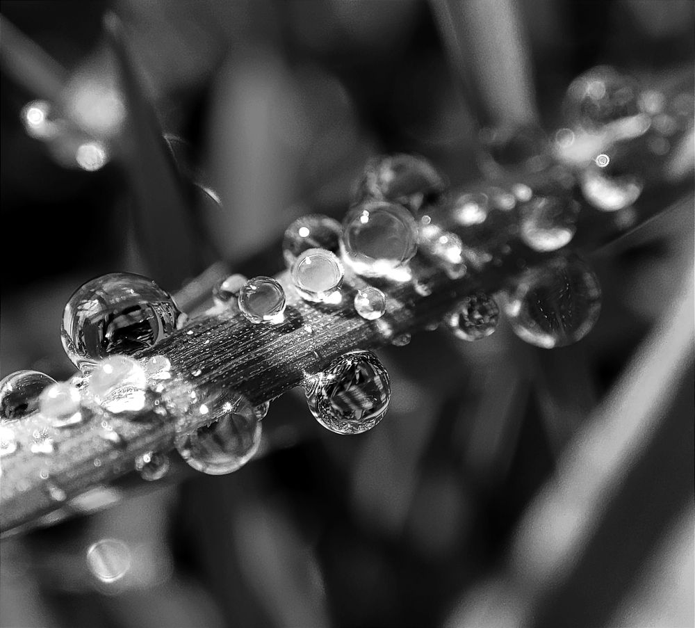 Photograph by Наталья Смирнова