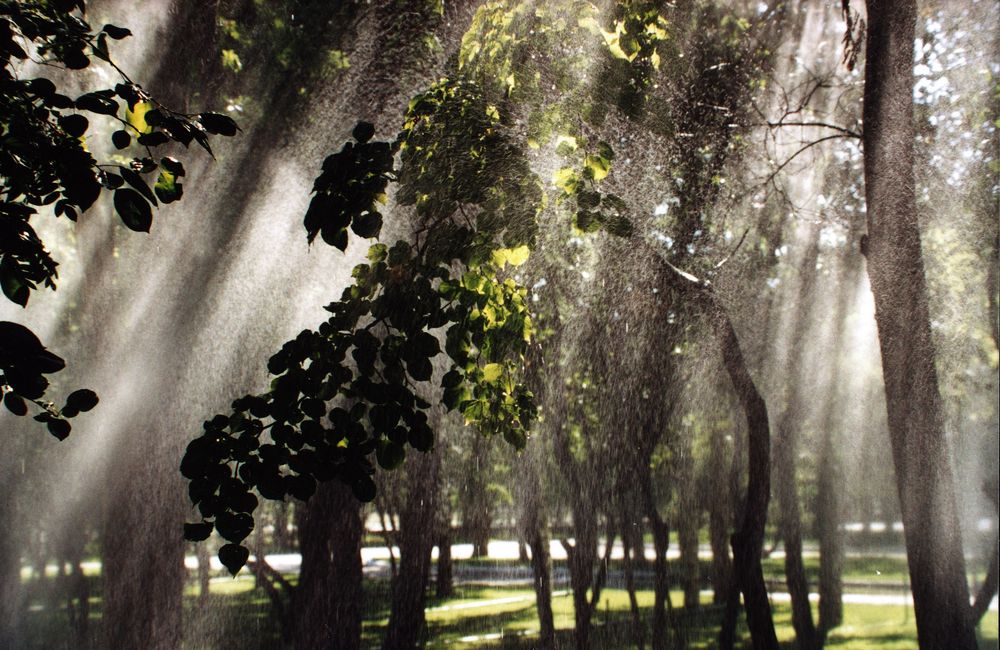 Photograph by Евгений Медведев