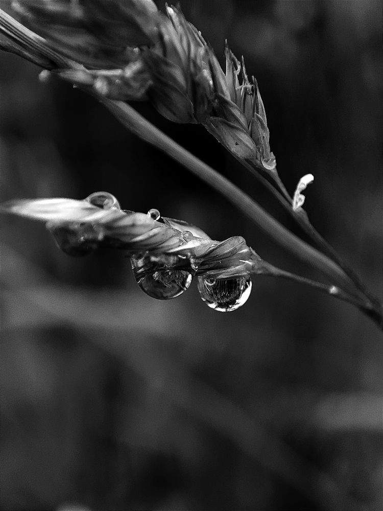 Photograph by Наталья Смирнова