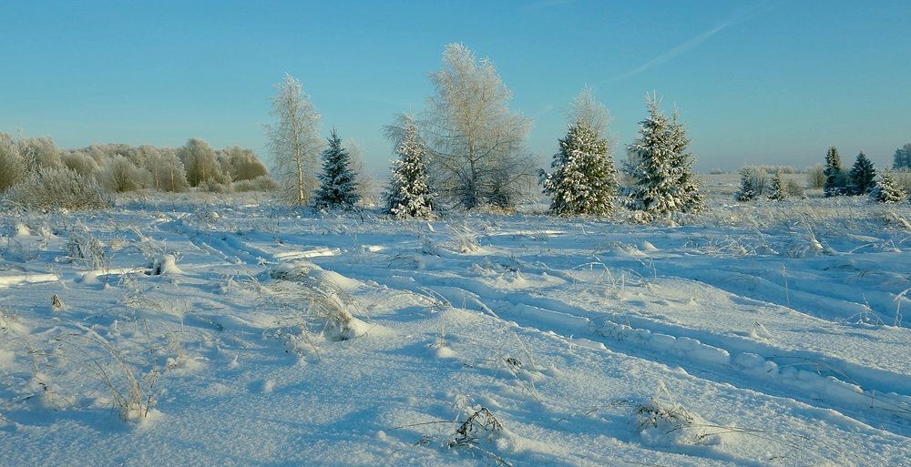 Photograph by Виктор Решетников