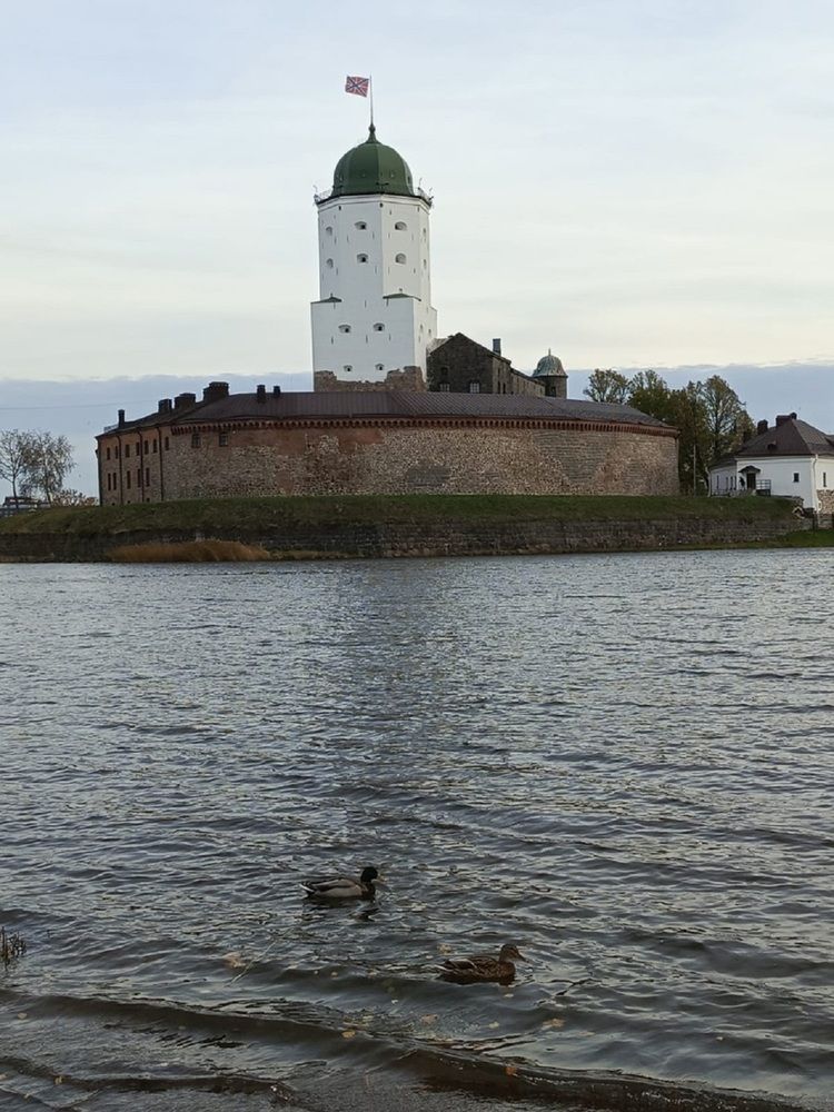 По дороге в Монрепо
