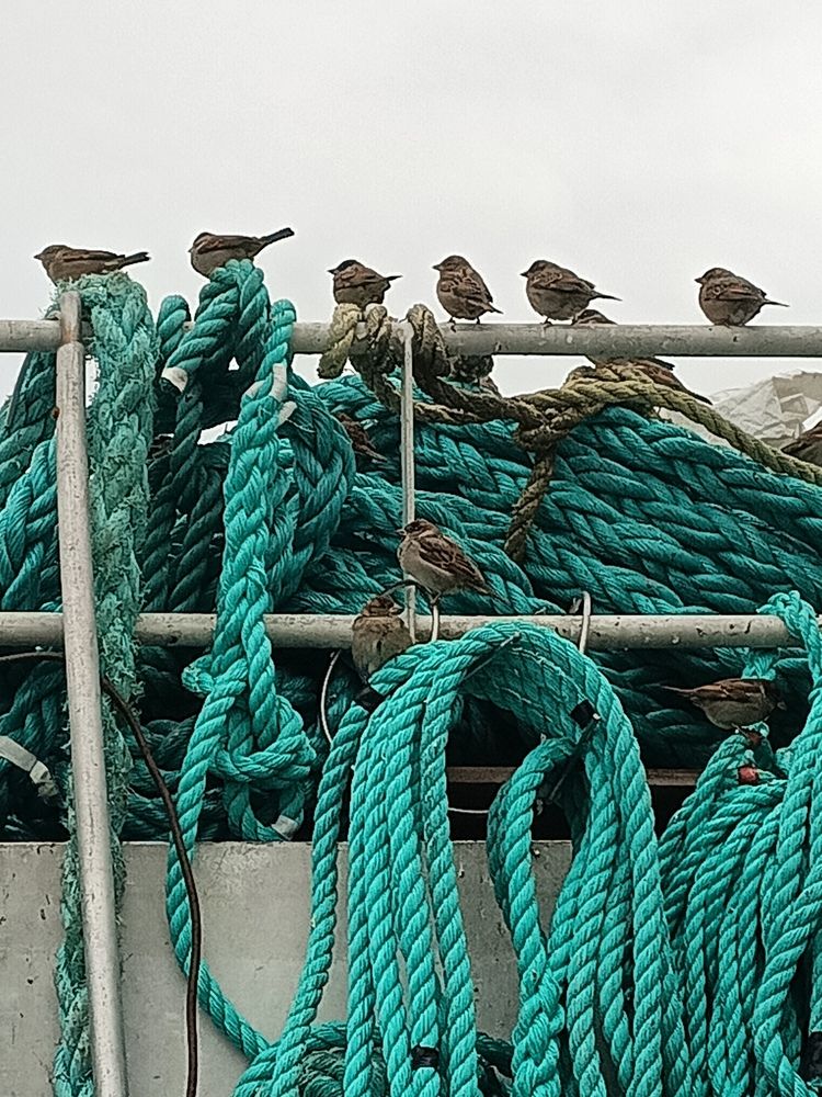 Фотография автора Эрнст Антонов