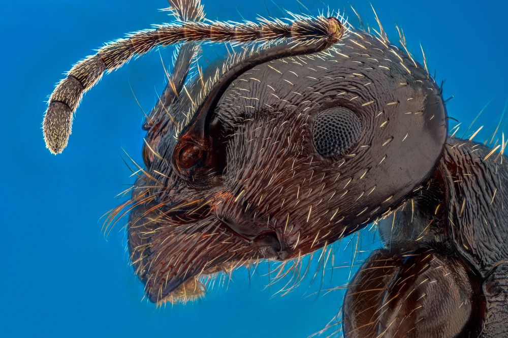 Photograph by Ganev Tsvetan