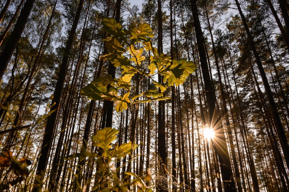 Photograph by Кончакова Дарья