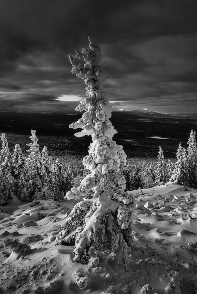 Зимний этюд.