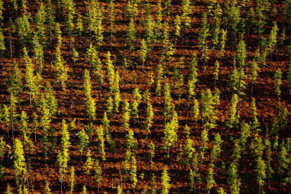 Photograph by Лада Денисова