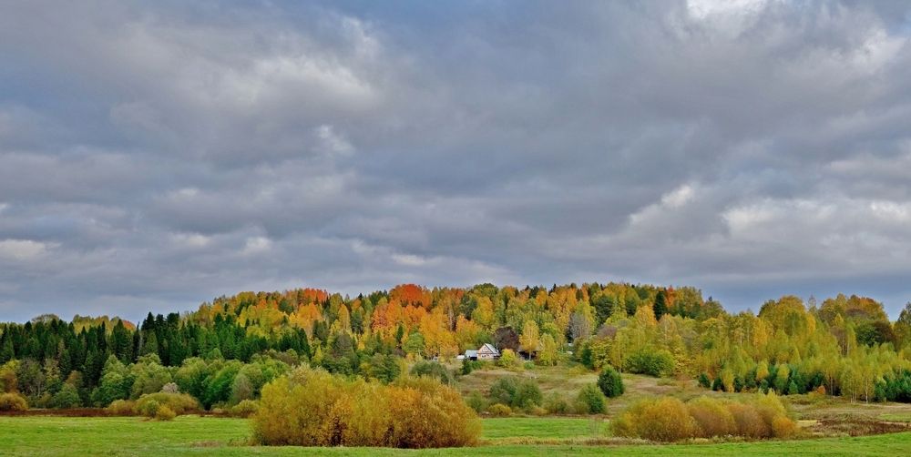 Photograph by Виктор Решетников