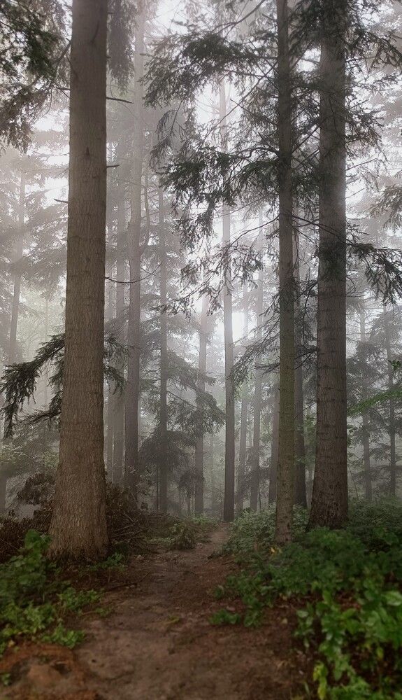 Photograph by Татьяна Яцкевич