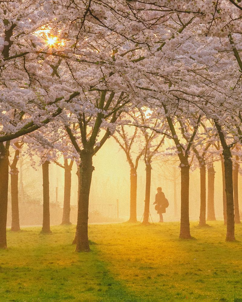 Фотография автора Khristosenko Mariia