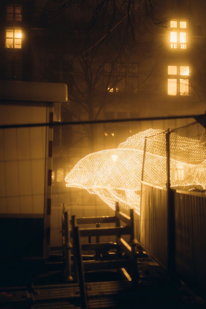 Фотография автора Khristosenko Mariia