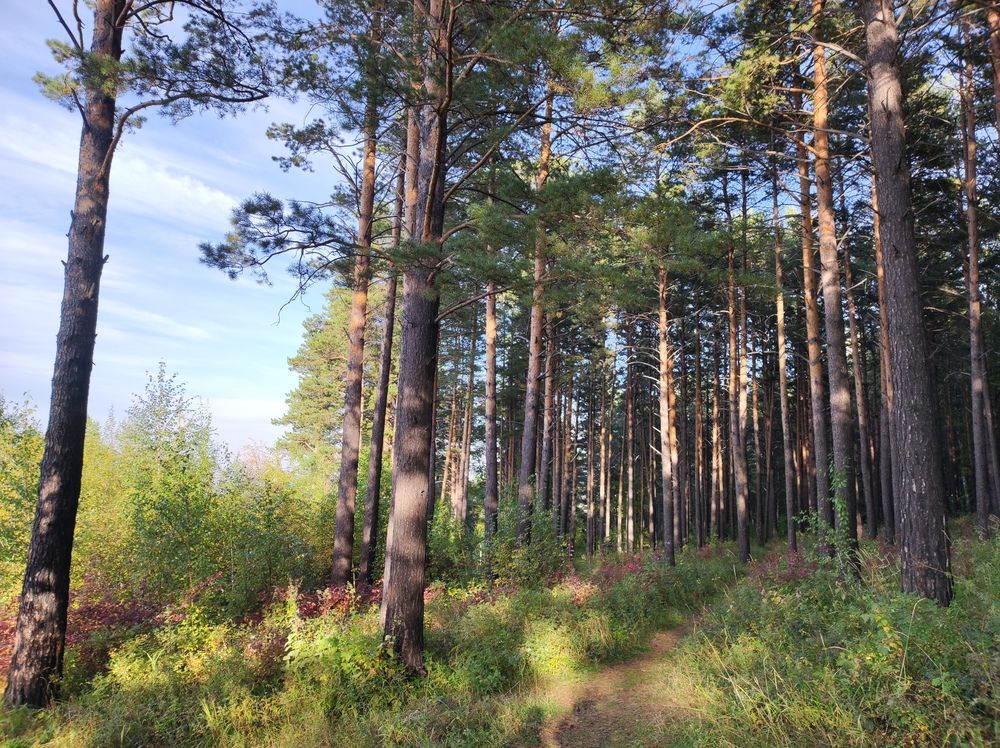 Photograph by Кристина Соколова