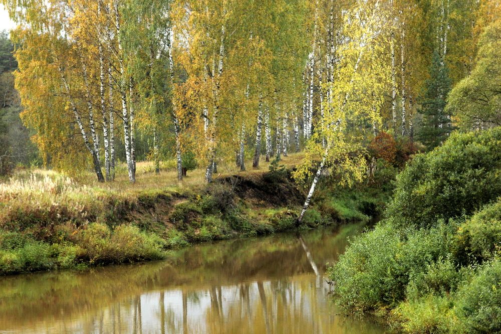 Photograph by Лада Денисова