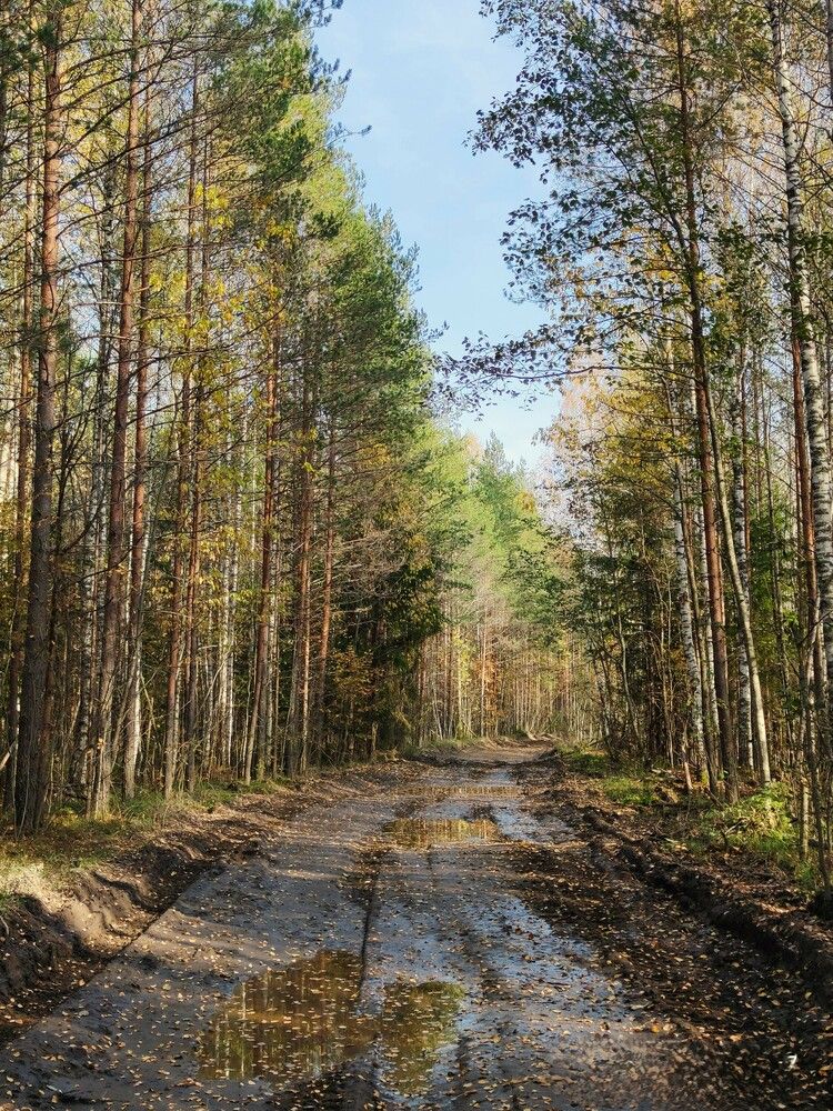 Photograph by Людмила Ваганова