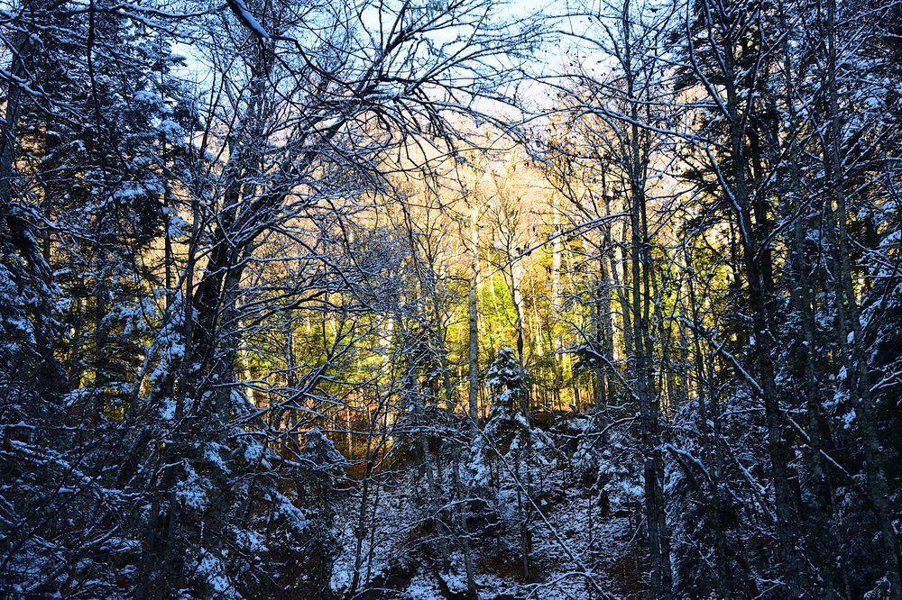 Photograph by Margo Margo