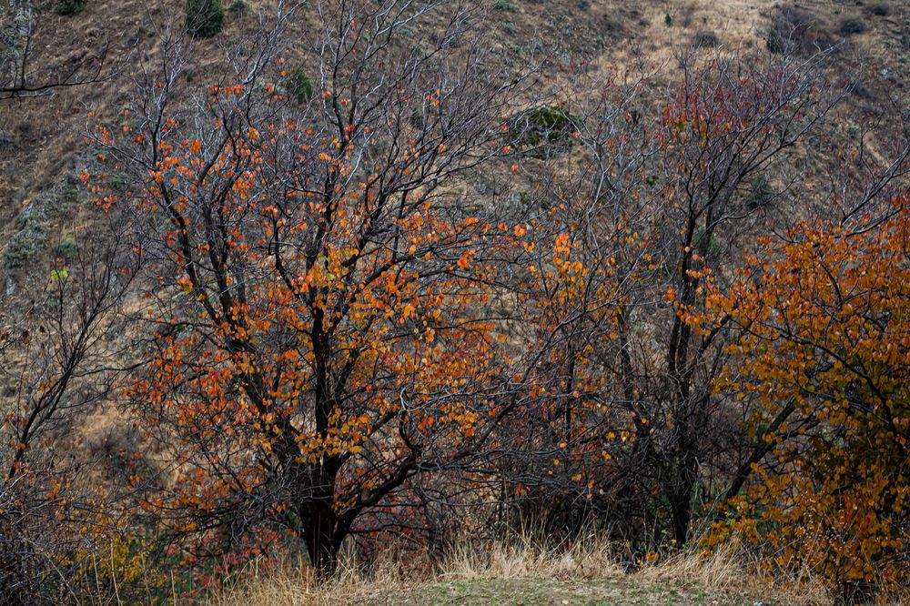 Photograph by Mary Petrova