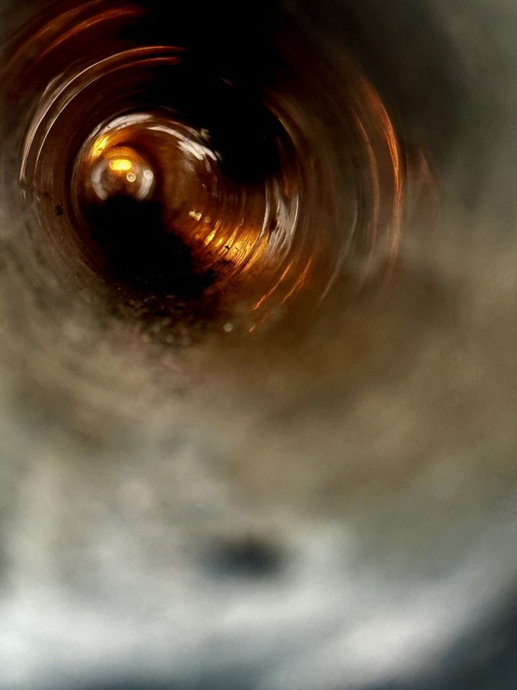 Photograph by Елена Брижеватая