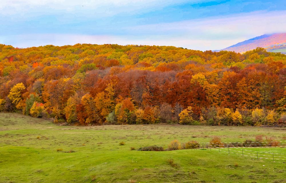 Photograph by Grădinaru Catalin