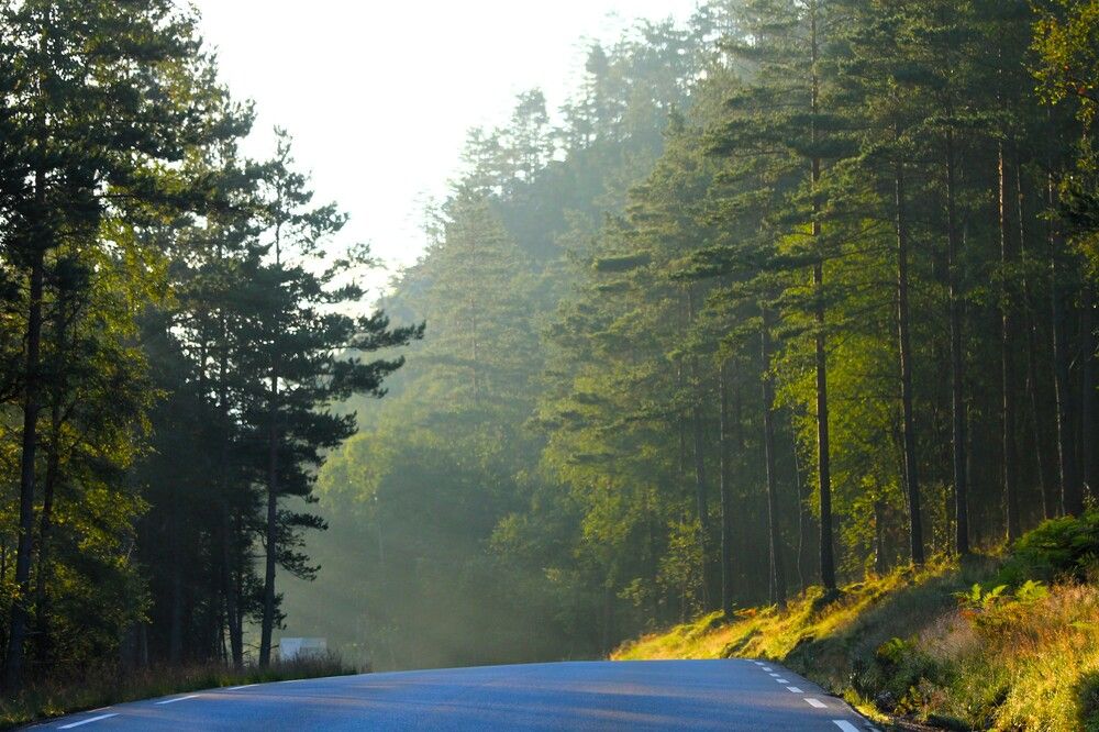 Photograph by Inese Firsova