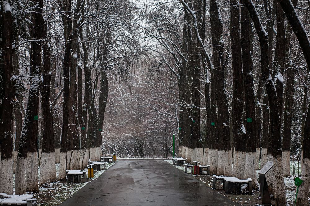 Photograph by Mary Petrova