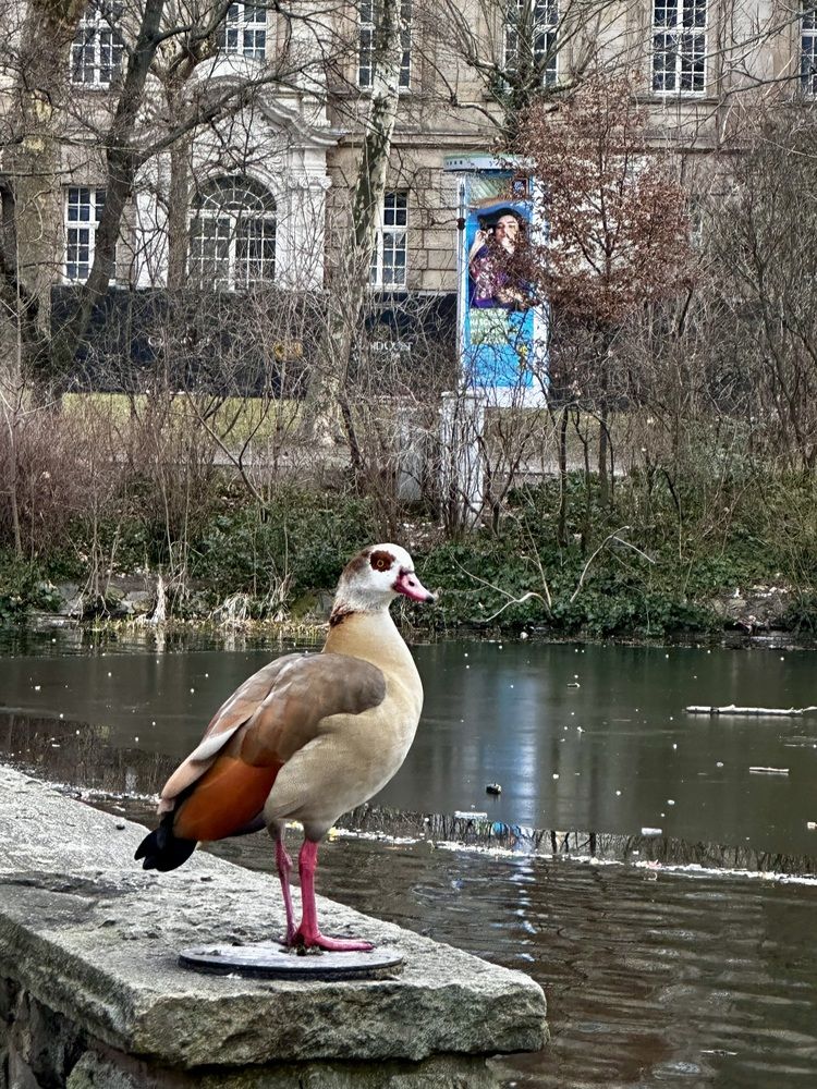 Photograph by Елена Брижеватая