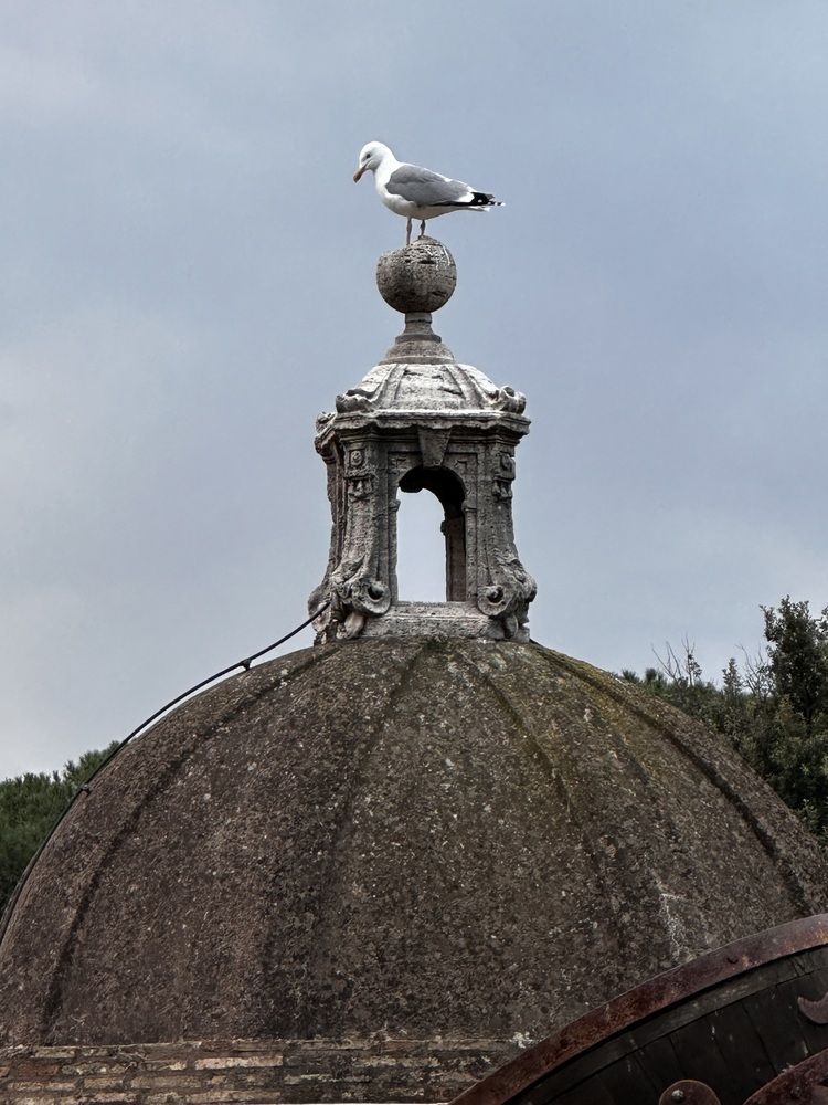 Photograph by Елена Брижеватая