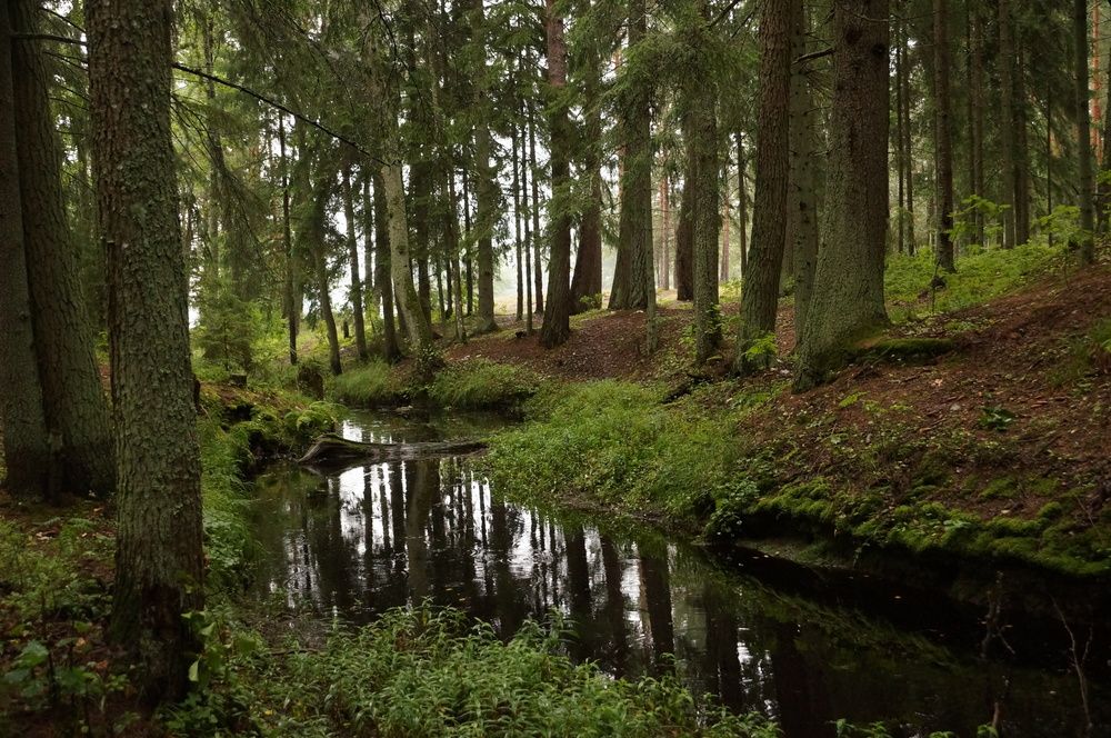 Photograph by Игорь Тамми