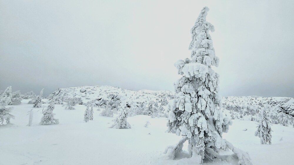 Photograph by Анна Семенова