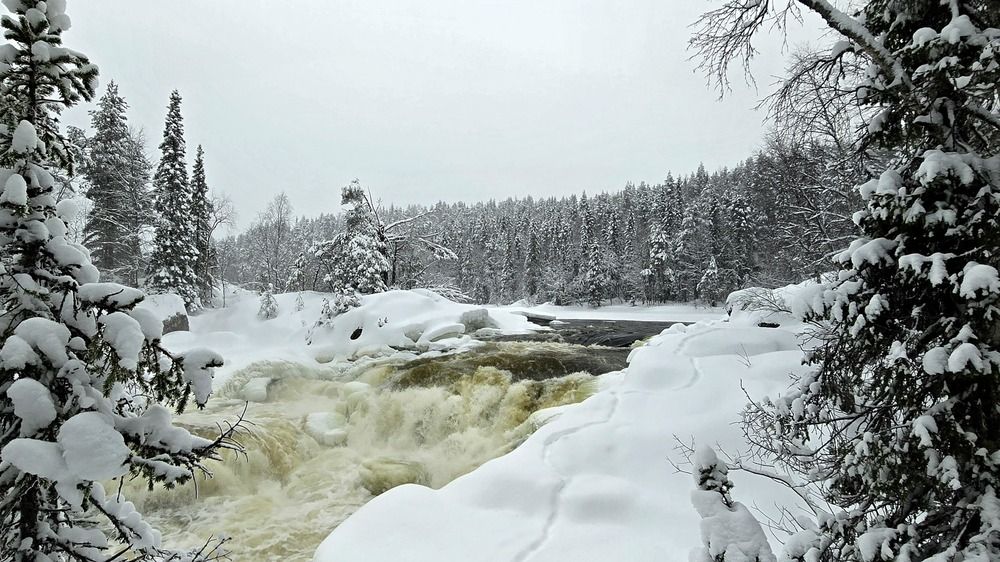 Photograph by Анна Семенова