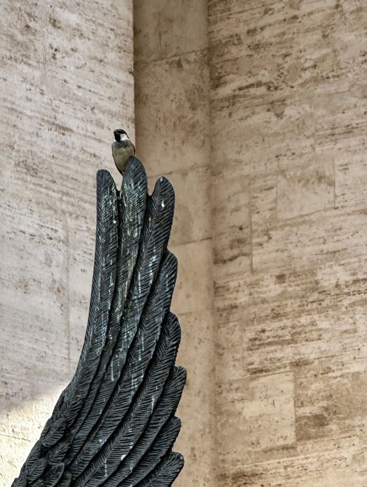 Photograph by Елена Брижеватая