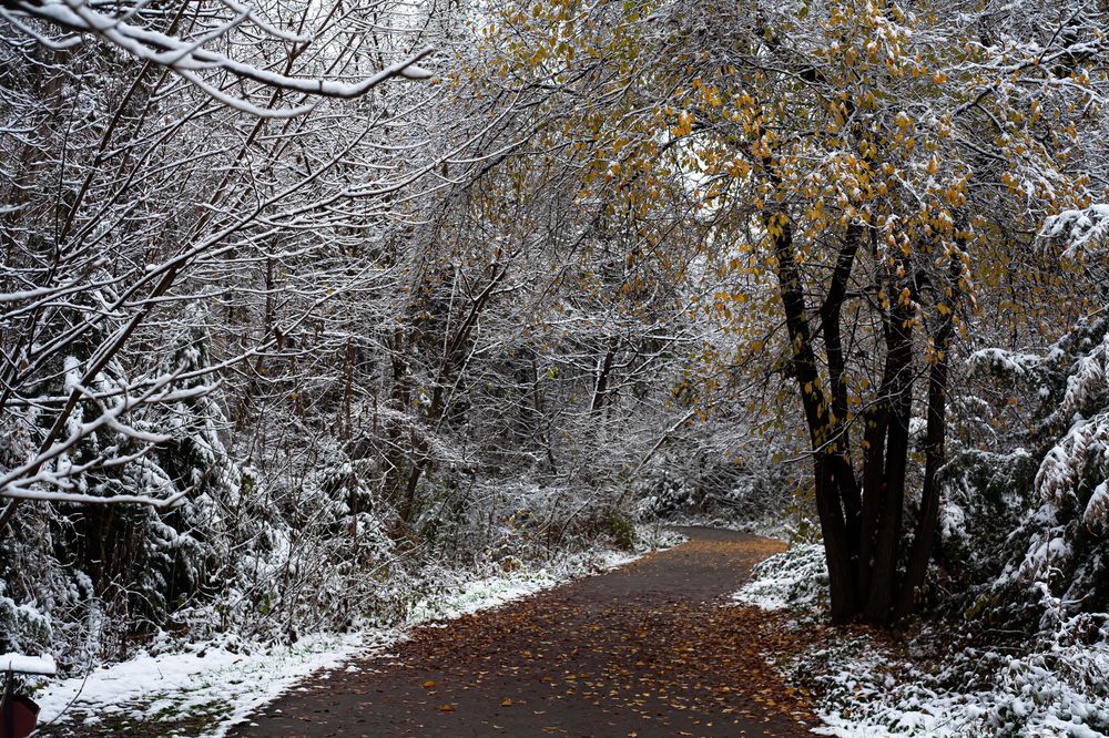 Photograph by Mary Petrova