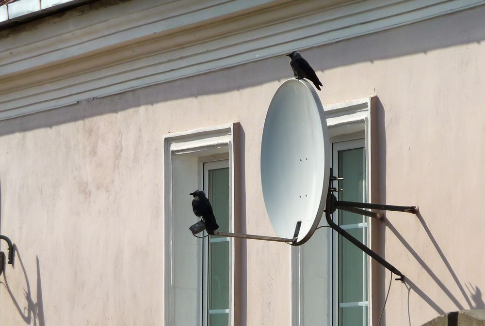 Photograph by Анатолий Костерев