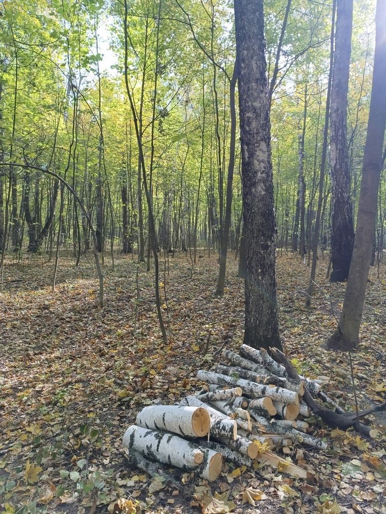 Photograph by Светлана Кондратенко