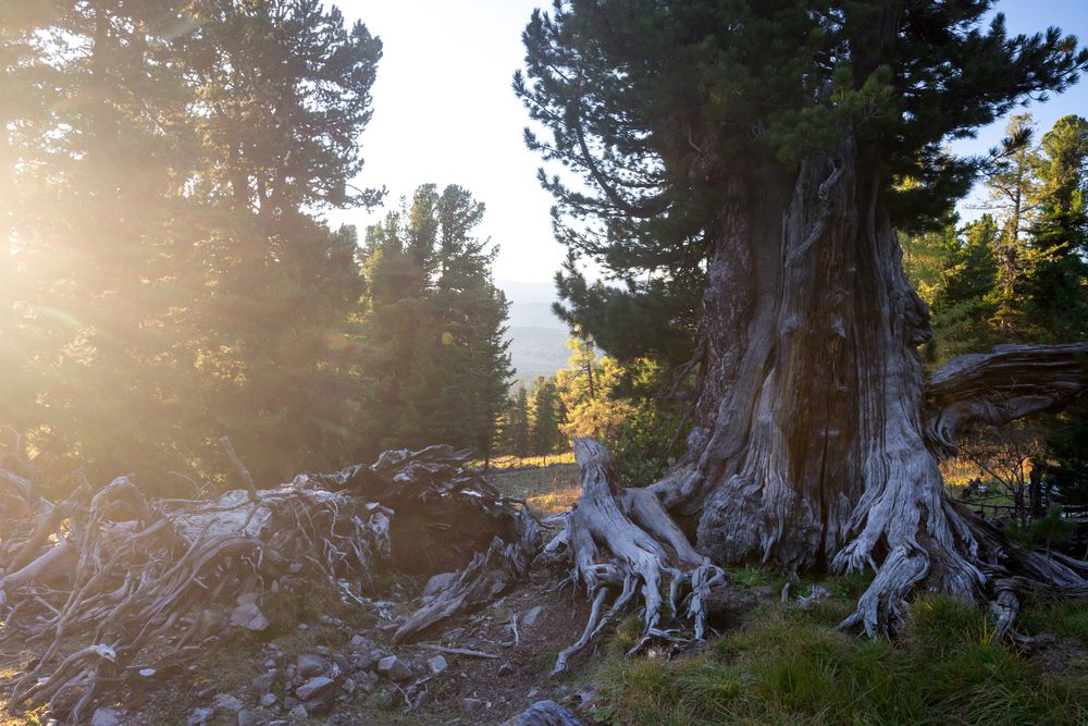 Фотография автора Василий Михайлин