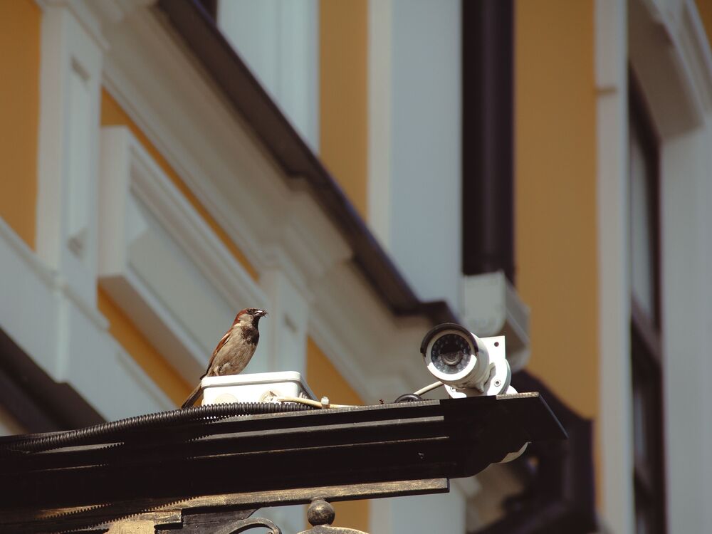 Photograph by Tatiana Shtun