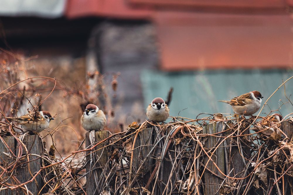 Photograph by Tatiana Shtun