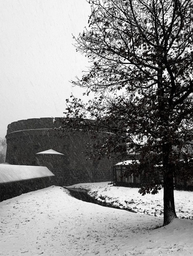 Photograph by Татьяна Михайловна